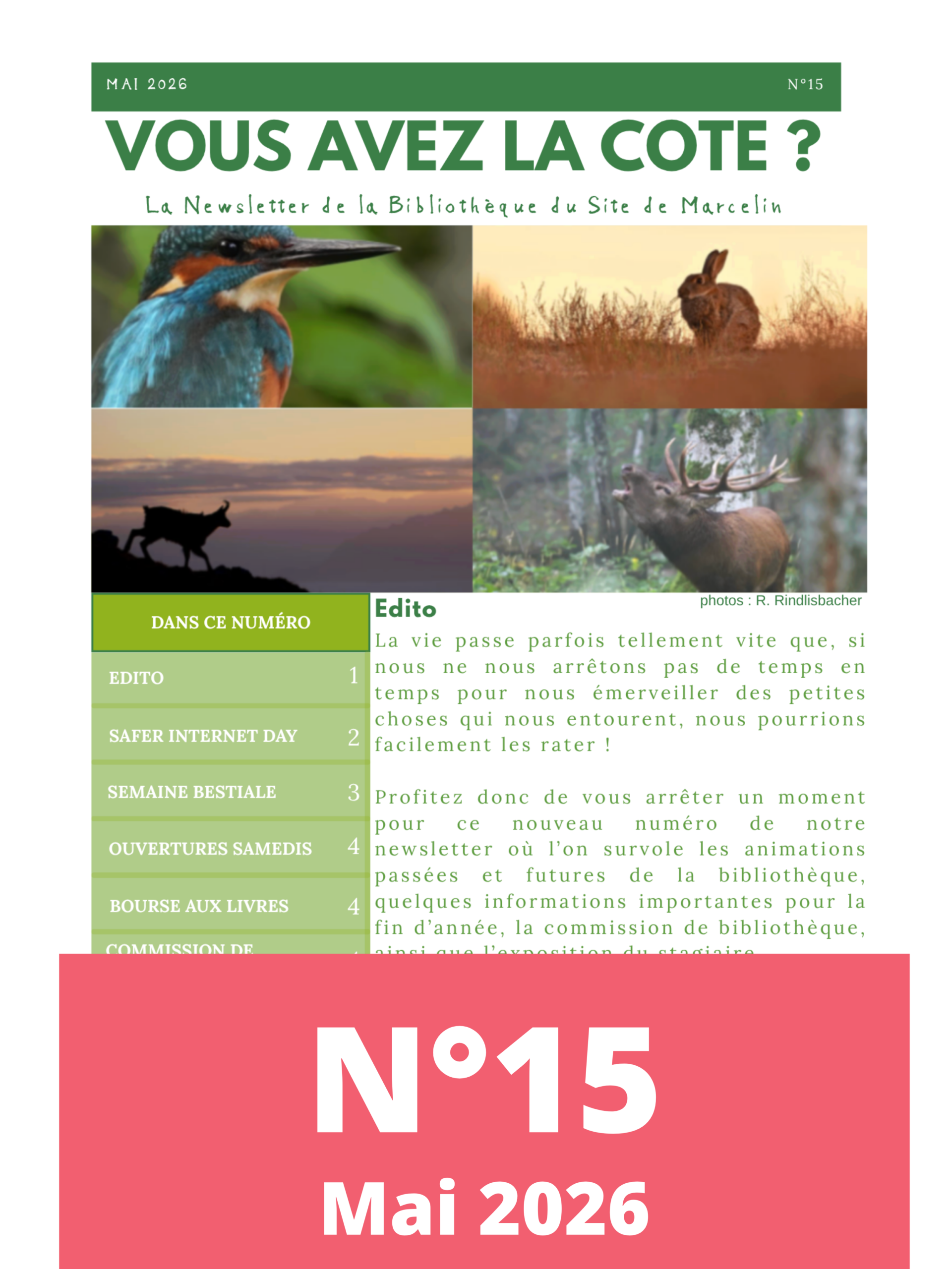 Newsletter n°15